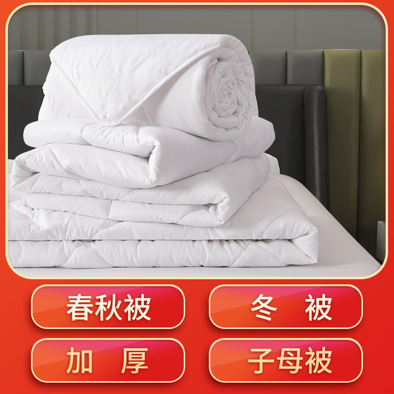 2023款 温暖磨毛科技压花被芯【详情页】【提取码：jo3w】