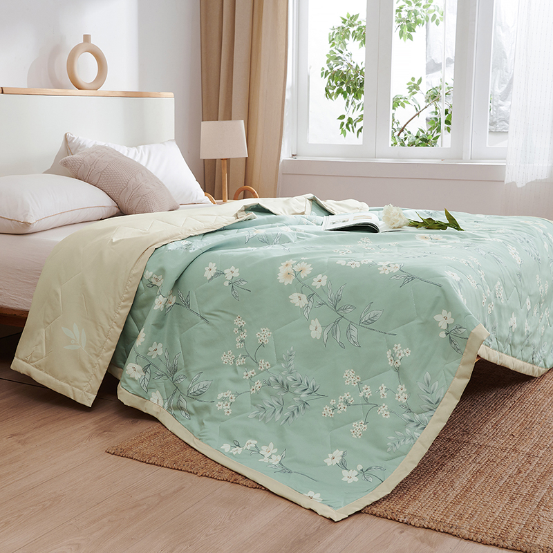 2025款 磨毛印花夏被【爆款促销】【详情页】【提取码：8fs8】